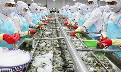 Hỗ trợ doanh nghiệp Việt xuất khẩu thực phẩm sang các nước thành viên RCEP