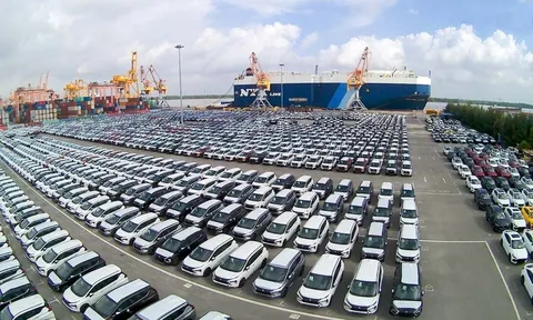 Trong 15 ngày, Việt Nam nhập khẩu kỷ lục gần 16.000 ô tô