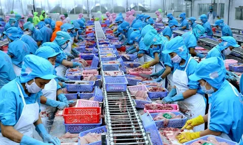 Thêm 23 doanh nghiệp thủy sản được xuất khẩu vào Trung Quốc