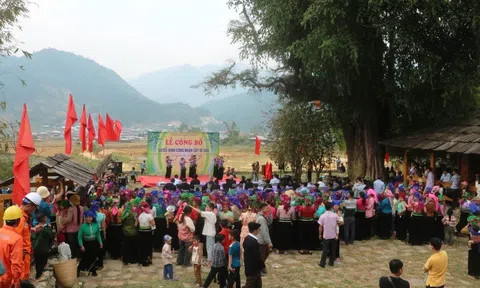 Sơn La: Lễ công bố Quyết định công nhận cây di sản Việt Nam tại xã Ngọc Chiến