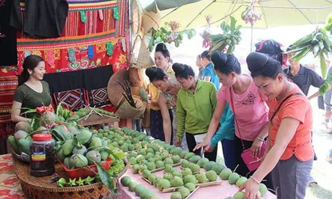Sắp diễn ra Ngày hội xoài Yên Châu năm 2023
