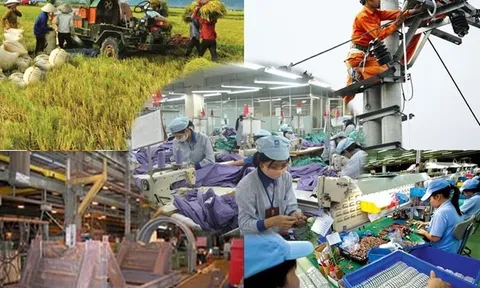 Thanh Hóa: Gần 1.300 doanh nghiệp thành lập mới trong 6 tháng