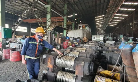 6 tháng đầu năm, Đắk Lắk có 707 doanh nghiệp thành lập mới, 655 doanh nghiệp giải thể, tạm ngừng hoạt động