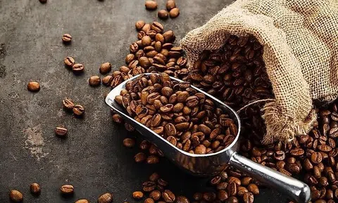 Đạt hơn 3.100 USD/tấn, giá cà phê xuất khẩu tiếp tục lập kỷ lục