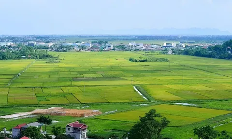 Giảm tiền thuê đất năm 2023 để hỗ trợ sản xuất kinh doanh