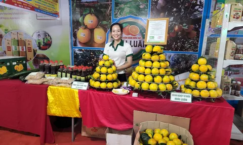 Hà Tĩnh: Tổ chức Lễ hội cam và các sản phẩm nông nghiệp lần thứ 6