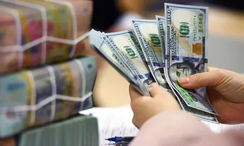 Doanh nghiệp Việt đầu tư ra nước ngoài gần 22,1 tỷ USD