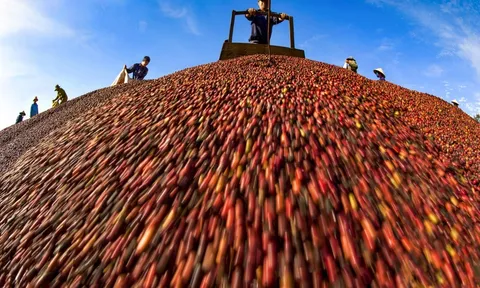 Đắk Lắk đưa nông sản chinh phục thị trường quốc tế