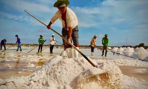 Festival nghề Muối nhằm tôn vinh, bảo tồn, phát triển nghề muối theo hướng hiện đại, bền vững